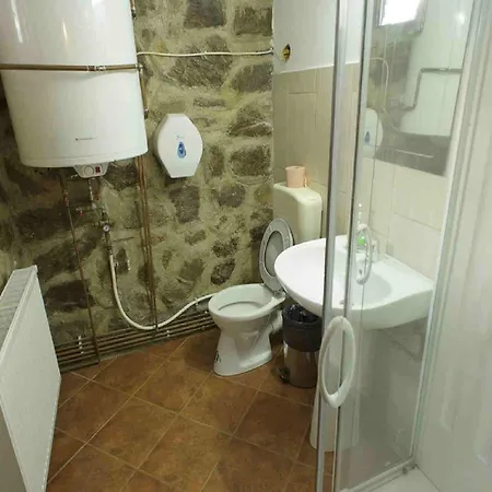 Guest house Cabana Semenic